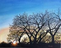 Landscape Oil Paintings - Bosque Winter Sunset - Oil Paint